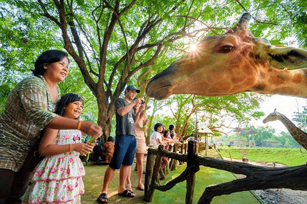Khao Kheow Open Zoo